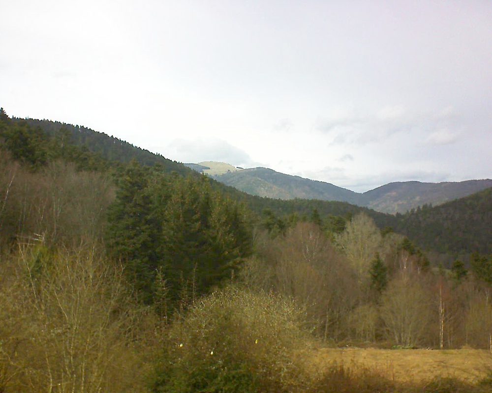Le petit ballon vu depuis le Domaine Langmatt à Murbach le 03.03.2019 à 14:30 Le petit ballon (Alsace, Vosges) le 03.03.2019 à 14:30