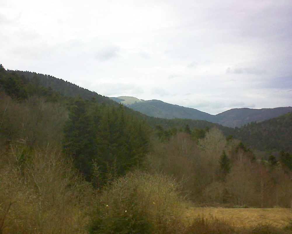 Le petit ballon vu depuis le Domaine Langmatt à Murbach le 03.03.2019 à 16:30 Le petit ballon (Alsace, Vosges) le 03.03.2019 à 16:30
