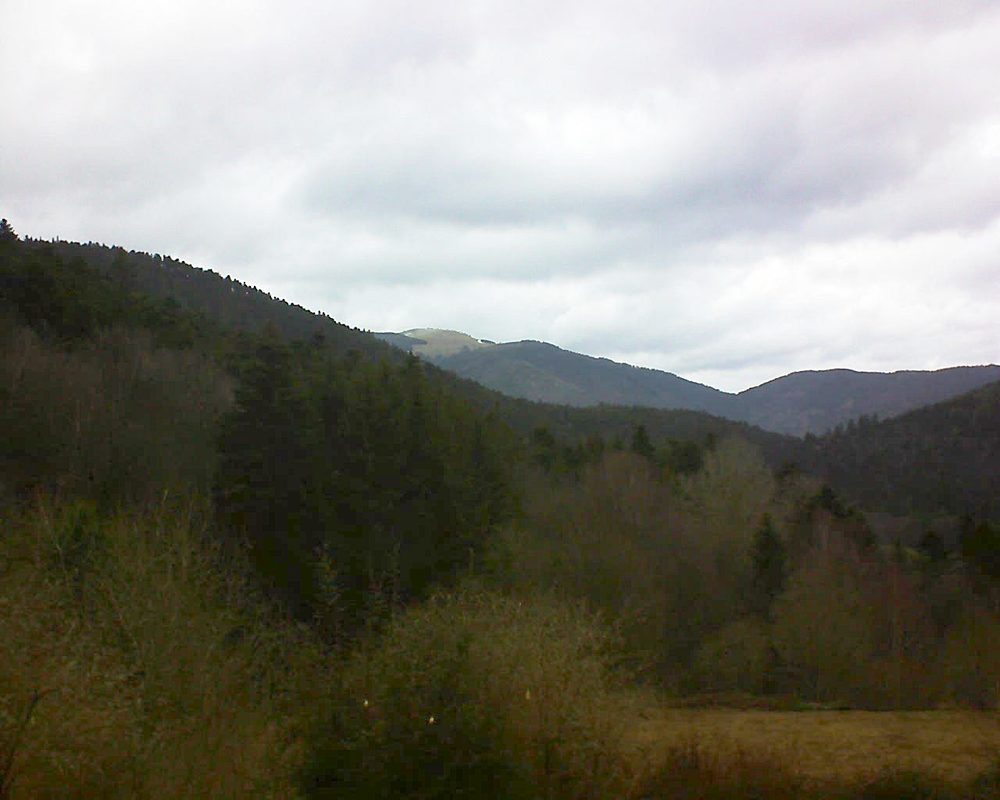 Le petit ballon vu depuis le Domaine Langmatt à Murbach le 04.03.2019 à 11:00 Le petit ballon (Alsace, Vosges) le 04.03.2019 à 11:00