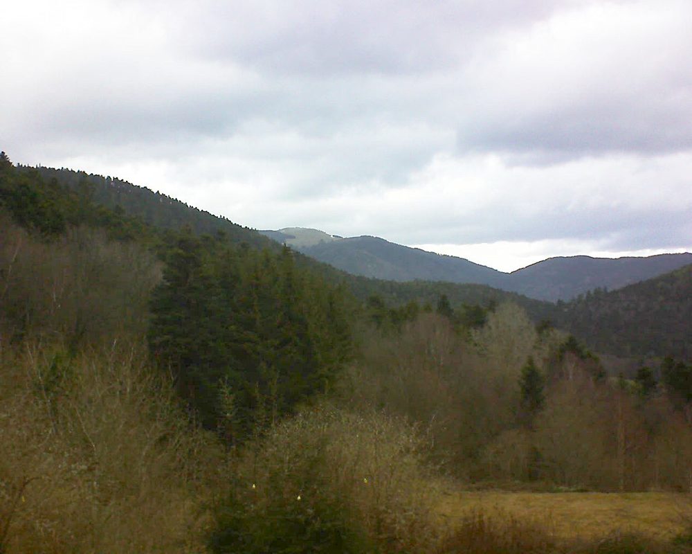 Le petit ballon vu depuis le Domaine Langmatt à Murbach le 04.03.2019 à 12:15 Le petit ballon (Alsace, Vosges) le 04.03.2019 à 12:15