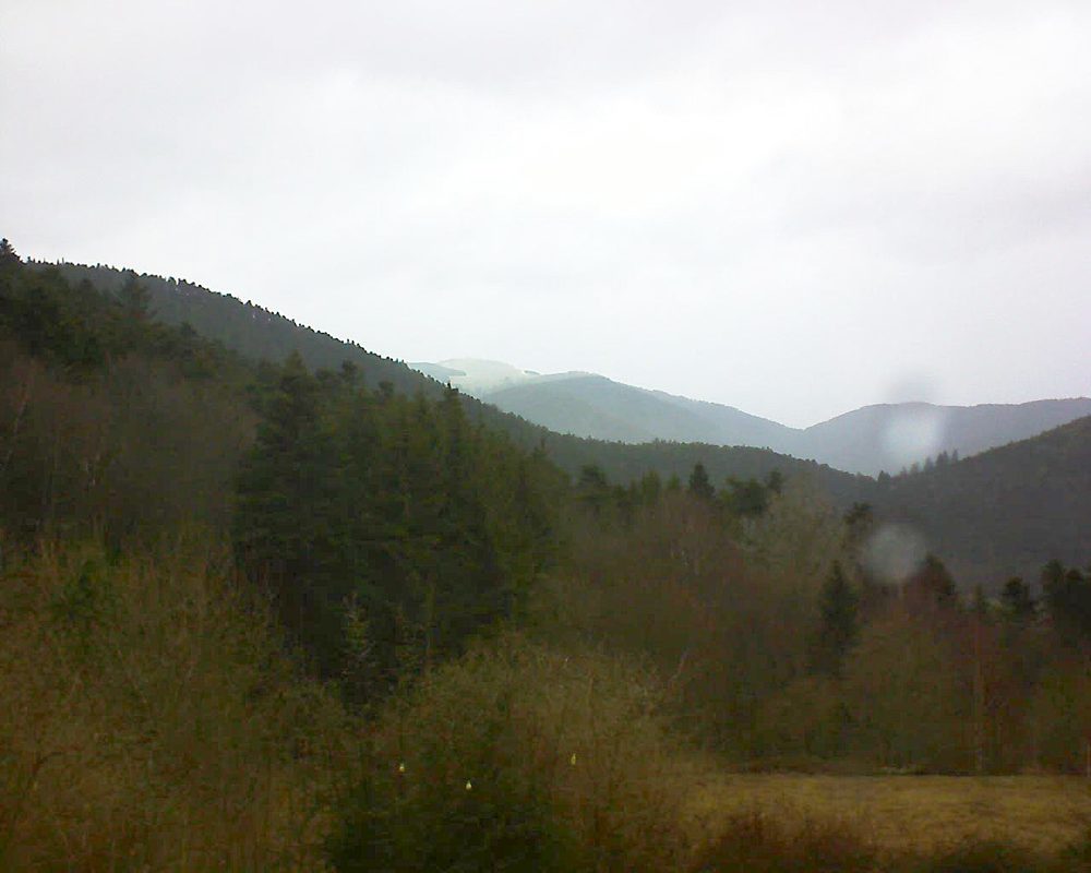 Le petit ballon vu depuis le Domaine Langmatt à Murbach le 04.03.2019 à 15:30 Le petit ballon (Alsace, Vosges) le 04.03.2019 à 15:30