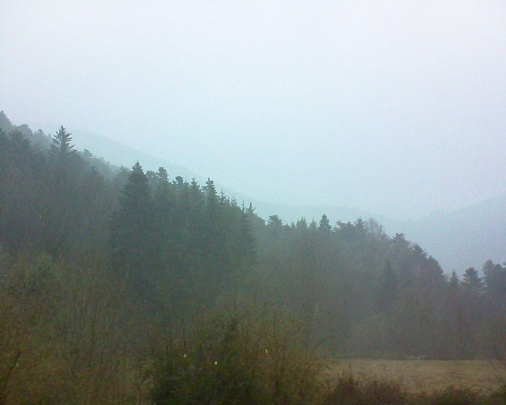 Le petit ballon vu depuis le Domaine Langmatt à Murbach le 04.03.2019 à 16:45 Le petit ballon (Alsace, Vosges) le 04.03.2019 à 16:45