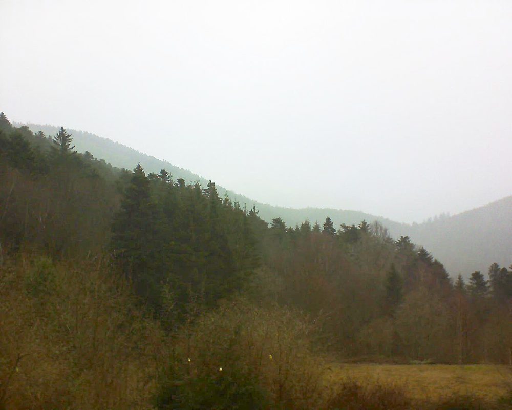 Le petit ballon vu depuis le Domaine Langmatt à Murbach le 05.03.2019 à 11:15 Le petit ballon (Alsace, Vosges) le 05.03.2019 à 11:15