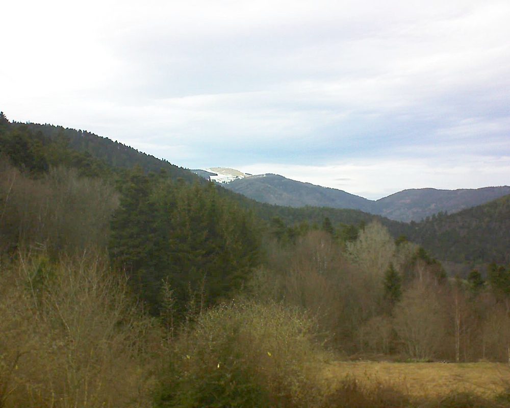 Le petit ballon vu depuis le Domaine Langmatt à Murbach le 06.03.2019 à 15:45 Le petit ballon (Alsace, Vosges) le 06.03.2019 à 15:45