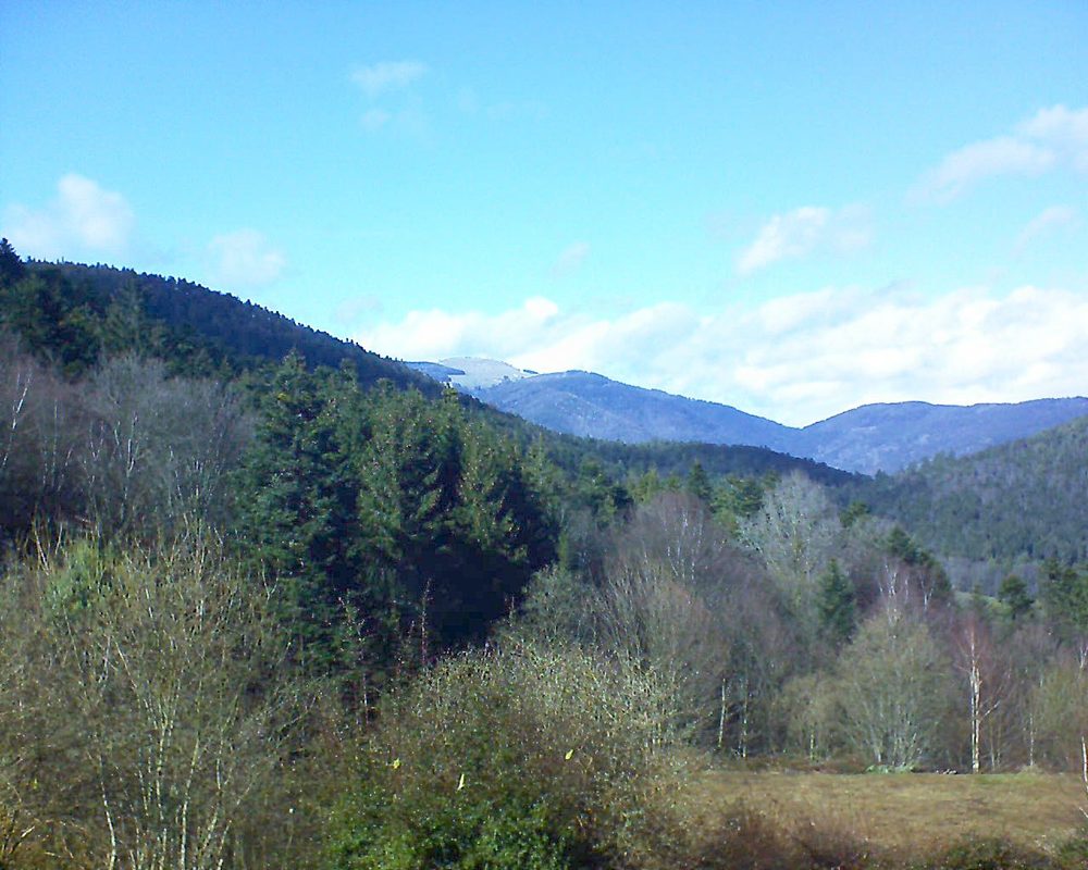 Le petit ballon vu depuis le Domaine Langmatt à Murbach le 07.03.2019 à 14:45 Le petit ballon (Alsace, Vosges) le 07.03.2019 à 14:45