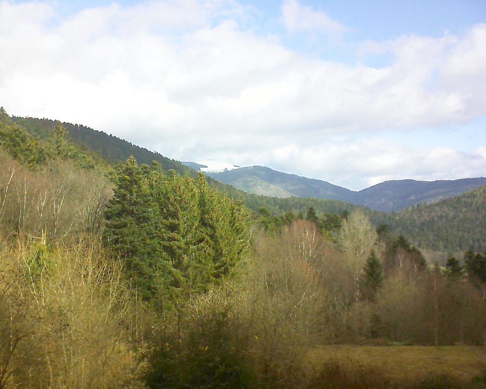 Le petit ballon vu depuis le Domaine Langmatt à Murbach le 08.03.2019 à 10:15 Le petit ballon (Alsace, Vosges) le 08.03.2019 à 10:15