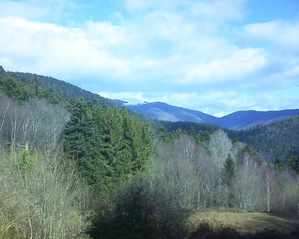 Le petit ballon vu depuis le Domaine Langmatt à Murbach le 08.03.2019 à 10:45 Le petit ballon (Alsace, Vosges) le 08.03.2019 à 10:45