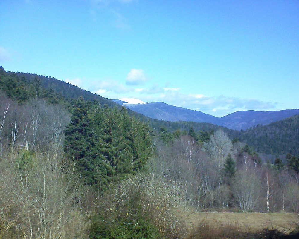 Le petit ballon vu depuis le Domaine Langmatt à Murbach le 08.03.2019 à 11:30 Le petit ballon (Alsace, Vosges) le 08.03.2019 à 11:30
