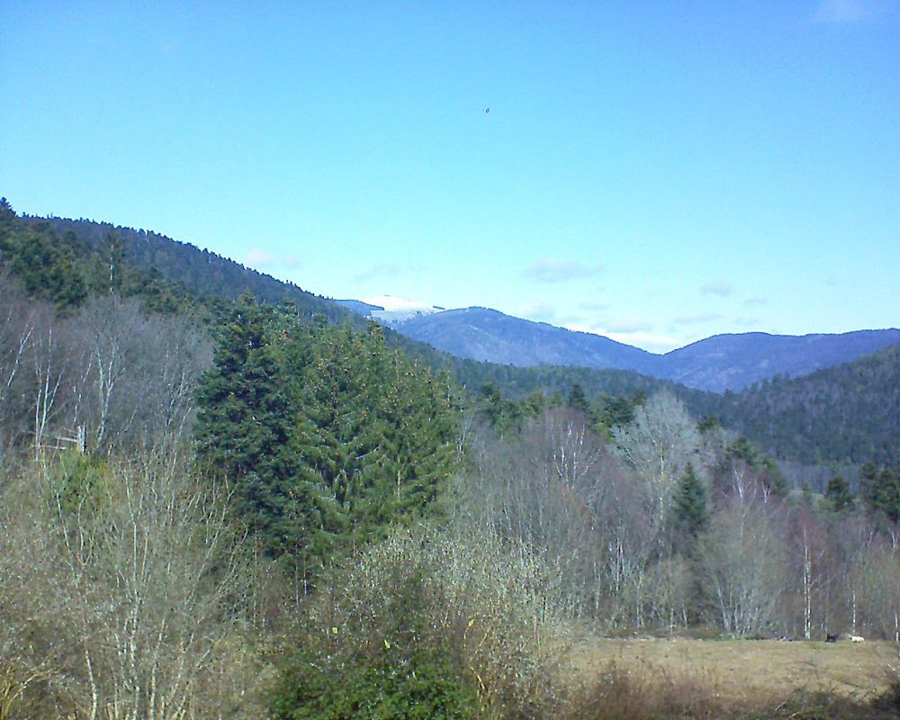 Le petit ballon vu depuis le Domaine Langmatt à Murbach le 08.03.2019 à 12:15 Le petit ballon (Alsace, Vosges) le 08.03.2019 à 12:15
