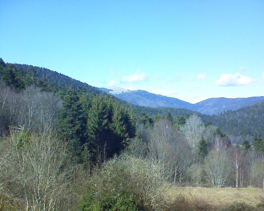 Le petit ballon vu depuis le Domaine Langmatt à Murbach le 08.03.2019 à 14:30 Le petit ballon (Alsace, Vosges) le 08.03.2019 à 14:30