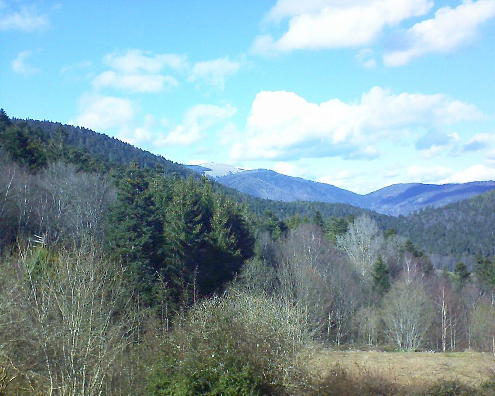 Le petit ballon vu depuis le Domaine Langmatt à Murbach le 08.03.2019 à 14:45 Le petit ballon (Alsace, Vosges) le 08.03.2019 à 14:45
