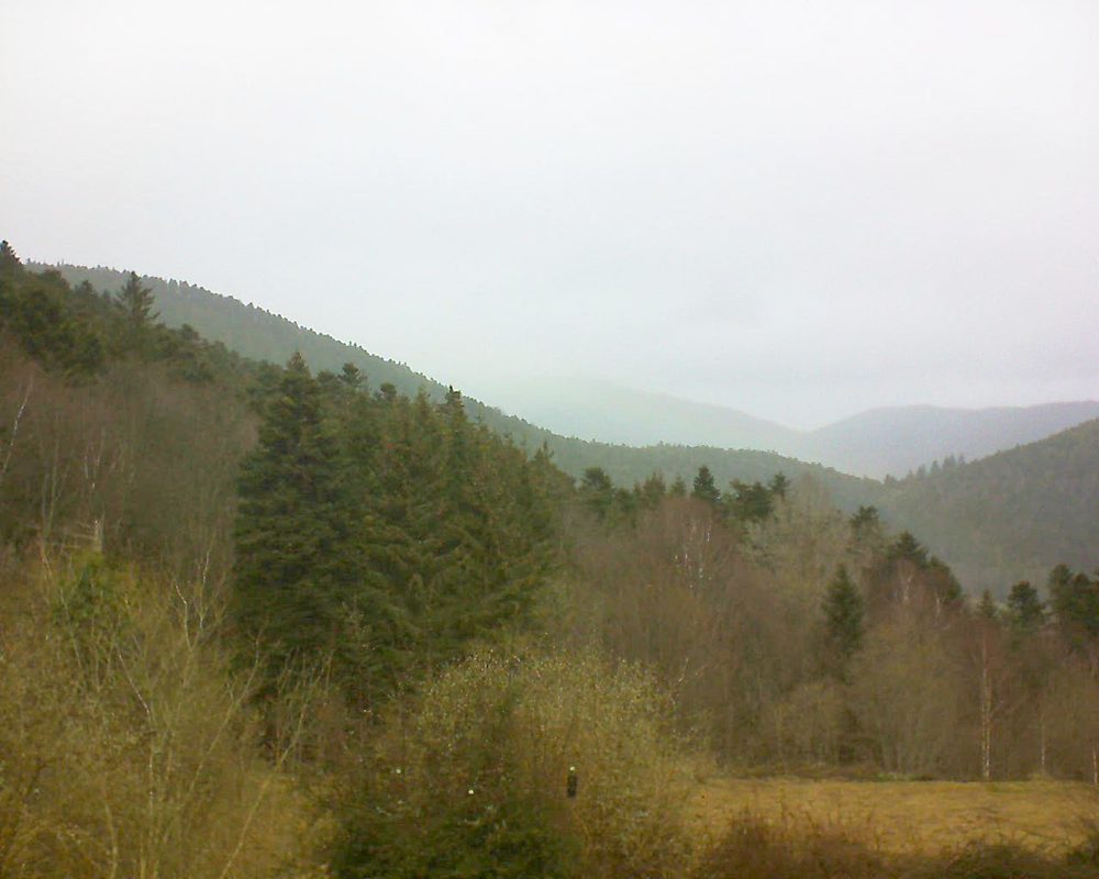 Le petit ballon vu depuis le Domaine Langmatt à Murbach le 09.03.2019 à 12:00 Le petit ballon (Alsace, Vosges) le 09.03.2019 à 12:00