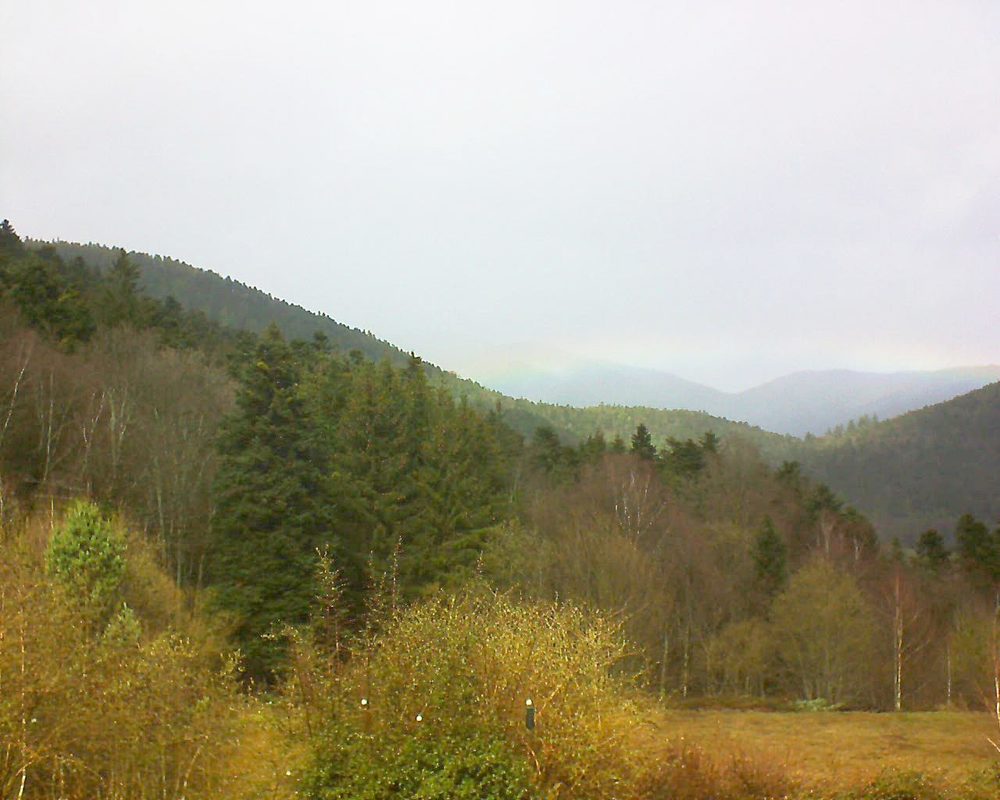 Le petit ballon vu depuis le Domaine Langmatt à Murbach le 10.03.2019 à 13:00 Le petit ballon (Alsace, Vosges) le 10.03.2019 à 13:00
