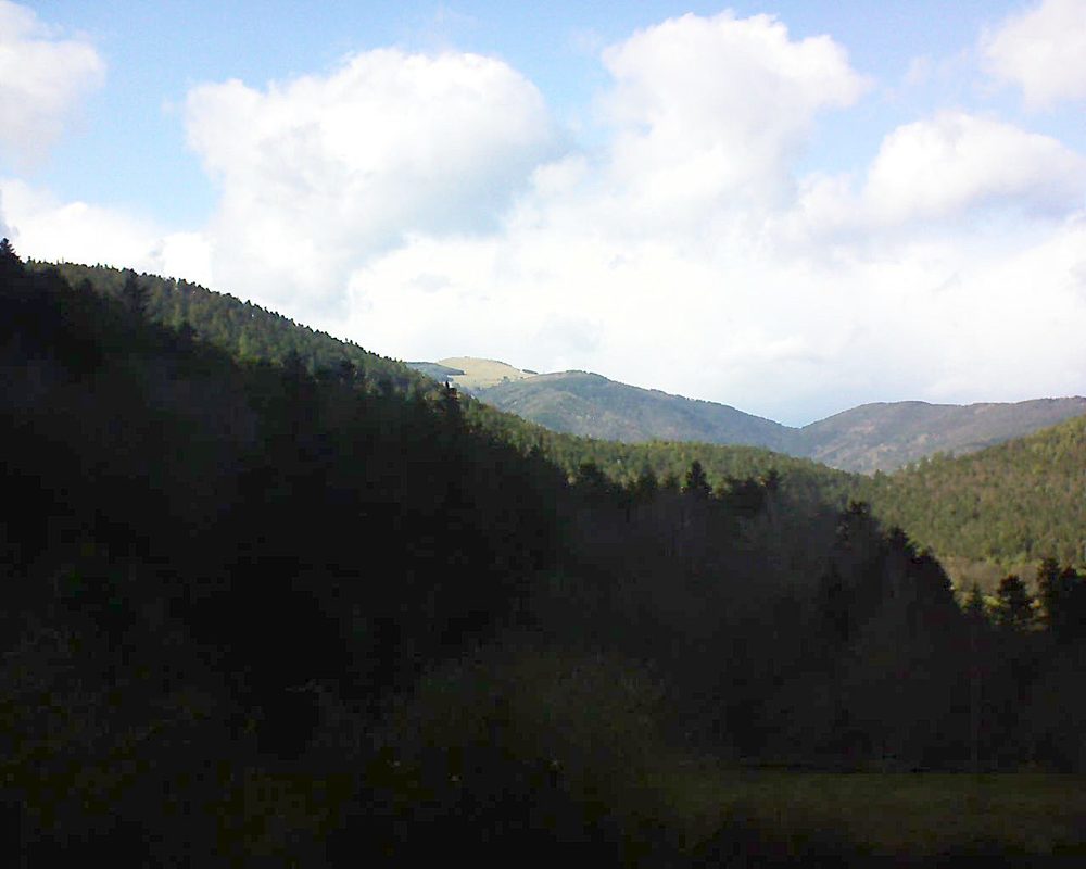 Le petit ballon vu depuis le Domaine Langmatt à Murbach le 10.03.2019 à 15:30 Le petit ballon (Alsace, Vosges) le 10.03.2019 à 15:30