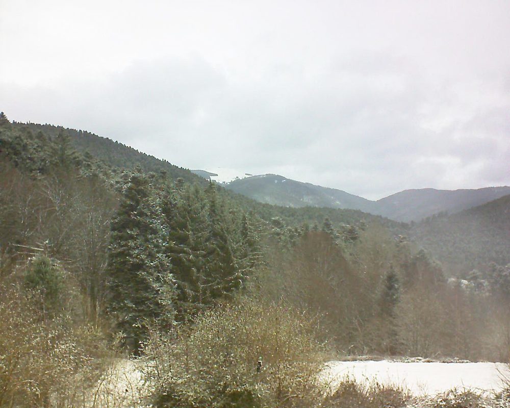 Le petit ballon vu depuis le Domaine Langmatt à Murbach le 11.03.2019 à 11:45 Le petit ballon (Alsace, Vosges) le 11.03.2019 à 11:45