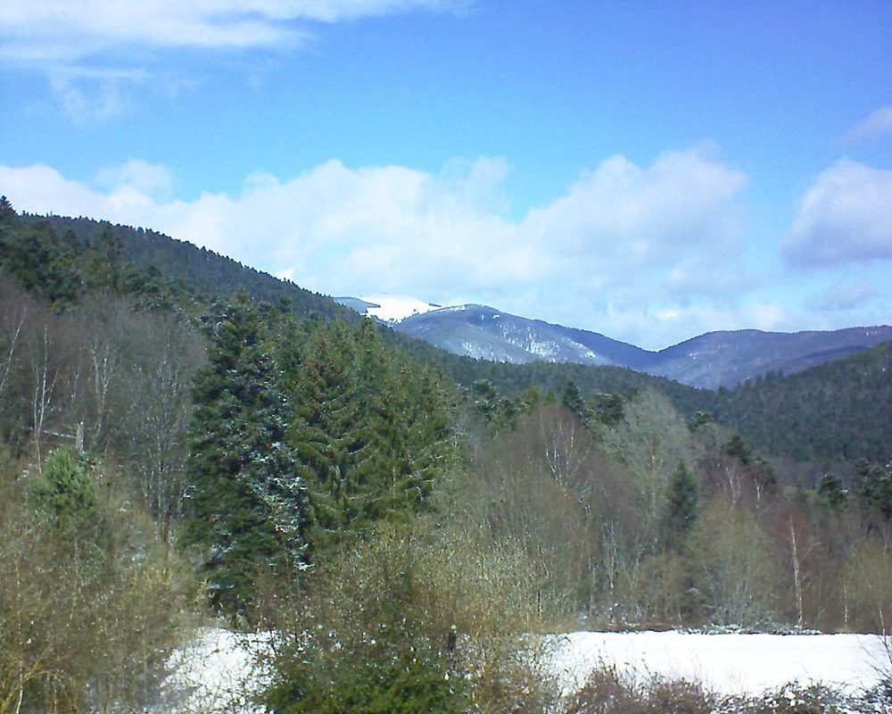 Le petit ballon vu depuis le Domaine Langmatt à Murbach le 11.03.2019 à 12:30 Le petit ballon (Alsace, Vosges) le 11.03.2019 à 12:30