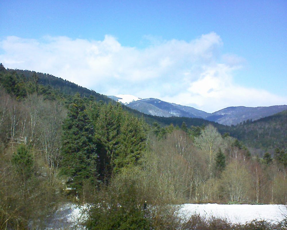 Le petit ballon vu depuis le Domaine Langmatt à Murbach le 11.03.2019 à 13:15 Le petit ballon (Alsace, Vosges) le 11.03.2019 à 13:15