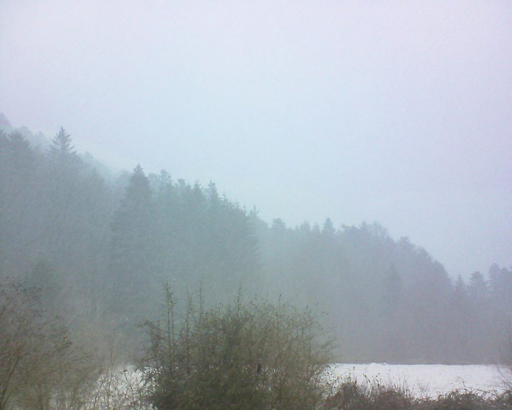 Le petit ballon vu depuis le Domaine Langmatt à Murbach le 11.03.2019 à 14:15 Le petit ballon (Alsace, Vosges) le 11.03.2019 à 14:15