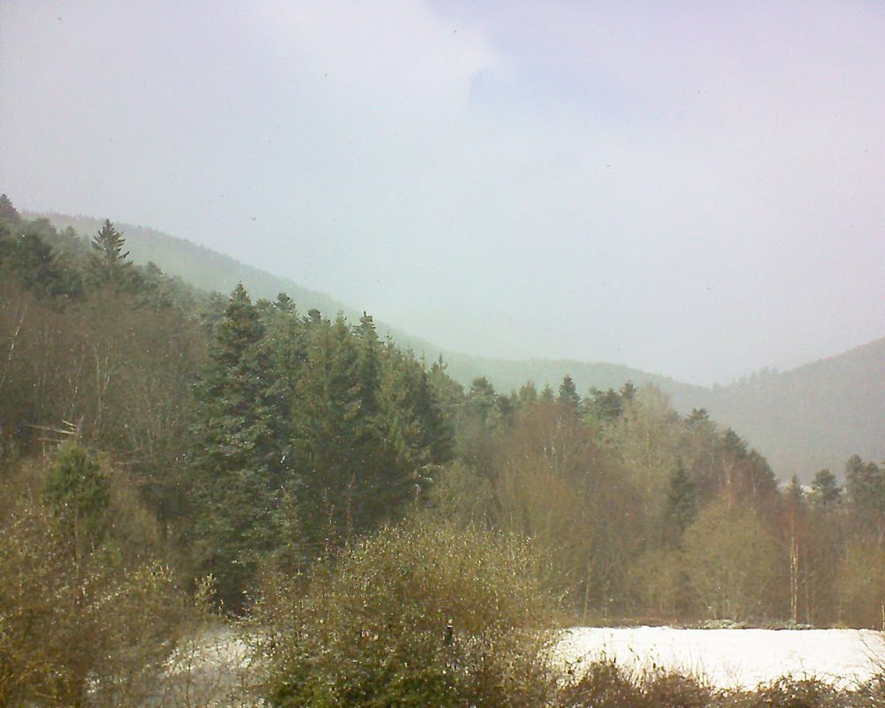 Le petit ballon vu depuis le Domaine Langmatt à Murbach le 11.03.2019 à 14:30 Le petit ballon (Alsace, Vosges) le 11.03.2019 à 14:30