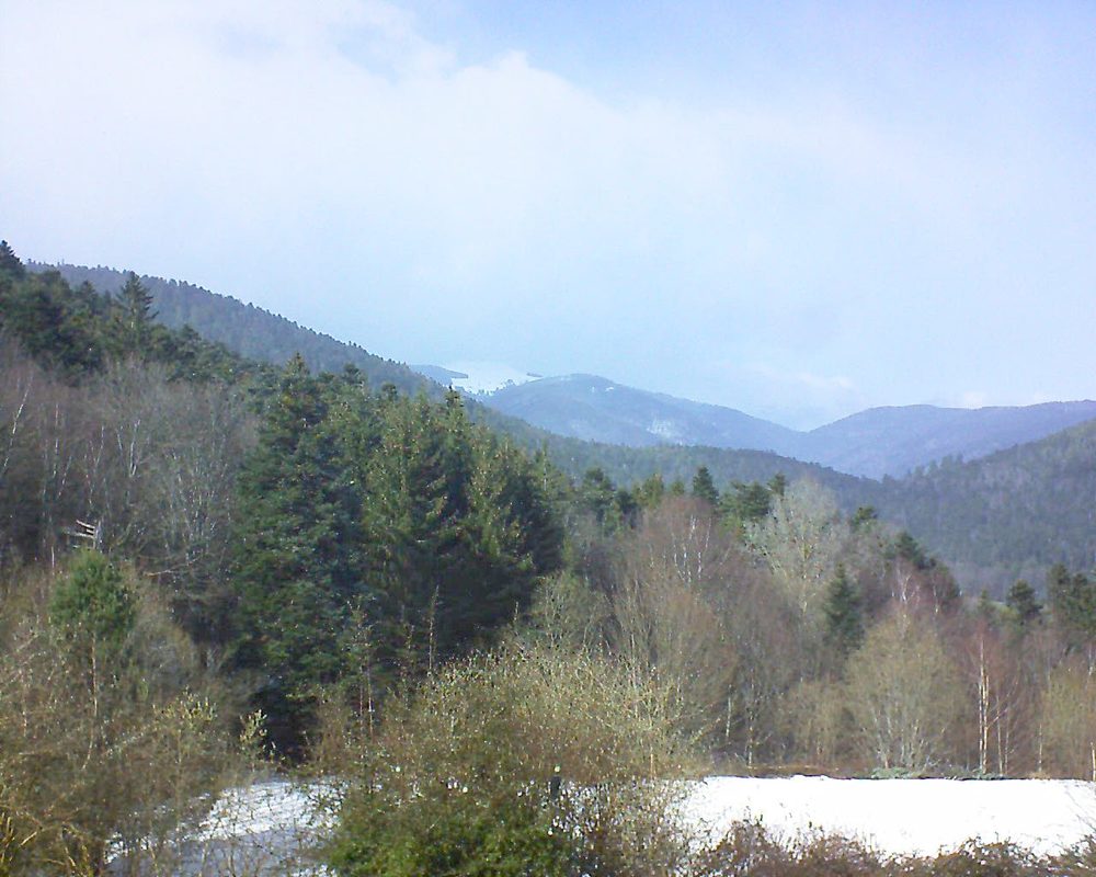 Le petit ballon vu depuis le Domaine Langmatt à Murbach le 11.03.2019 à 14:45 Le petit ballon (Alsace, Vosges) le 11.03.2019 à 14:45