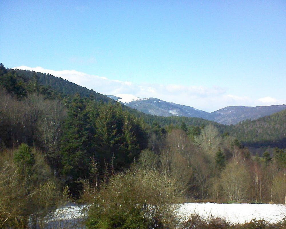 Le petit ballon vu depuis le Domaine Langmatt à Murbach le 11.03.2019 à 15:15 Le petit ballon (Alsace, Vosges) le 11.03.2019 à 15:15