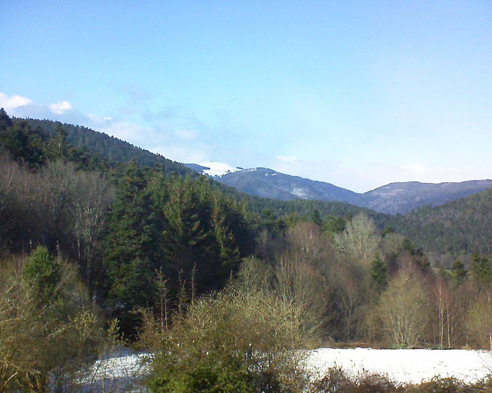 Le petit ballon vu depuis le Domaine Langmatt à Murbach le 11.03.2019 à 15:30 Le petit ballon (Alsace, Vosges) le 11.03.2019 à 15:30