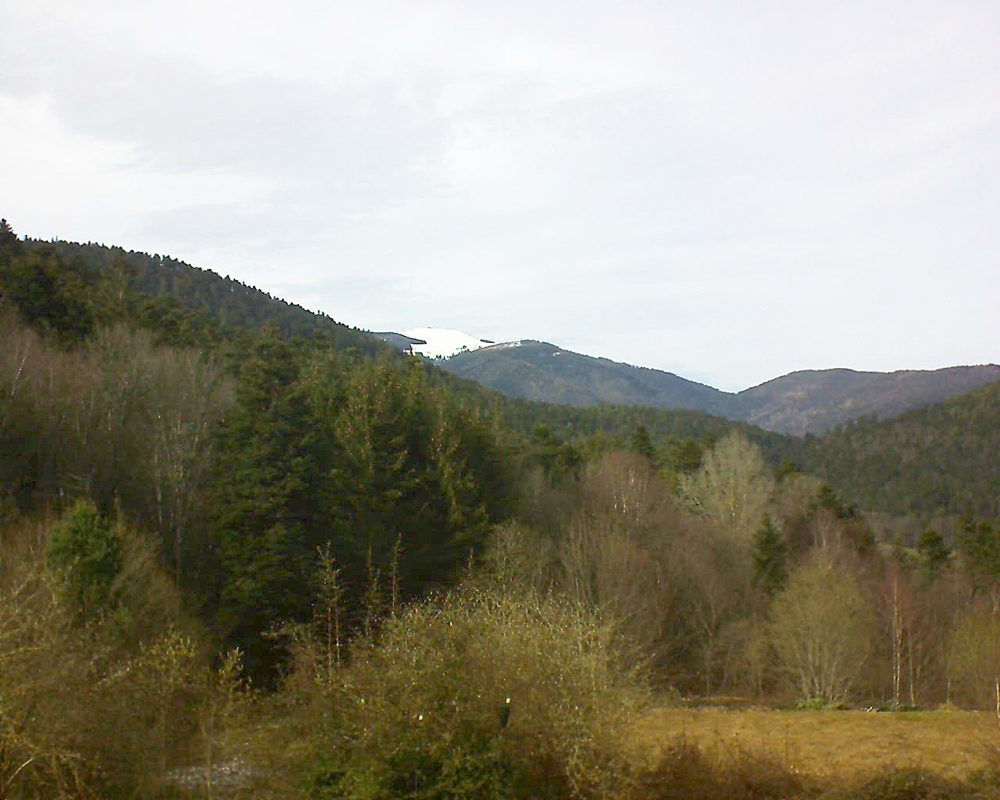 Le petit ballon vu depuis le Domaine Langmatt à Murbach le 12.03.2019 à 15:30 Le petit ballon (Alsace, Vosges) le 12.03.2019 à 15:30