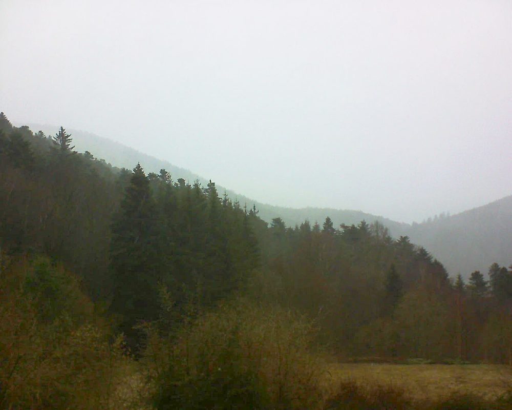 Le petit ballon vu depuis le Domaine Langmatt à Murbach le 14.03.2019 à 13:30 Le petit ballon (Alsace, Vosges) le 14.03.2019 à 13:30