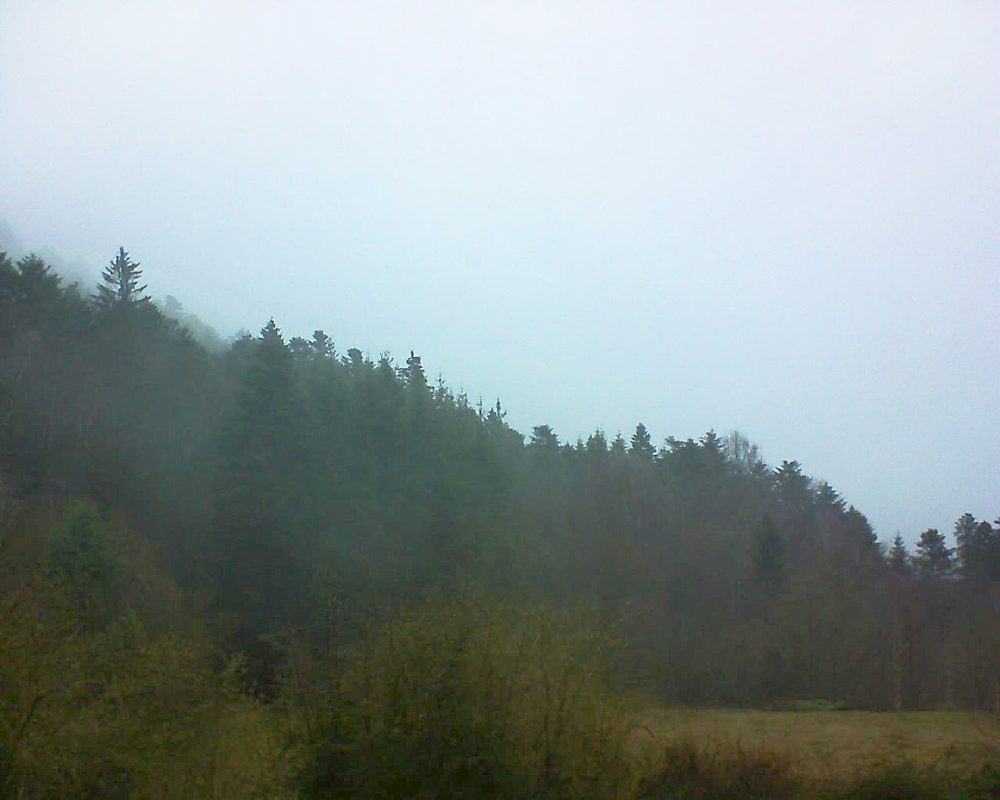 Le petit ballon vu depuis le Domaine Langmatt à Murbach le 15.03.2019 à 07:30 Le petit ballon (Alsace, Vosges) le 15.03.2019 à 07:30