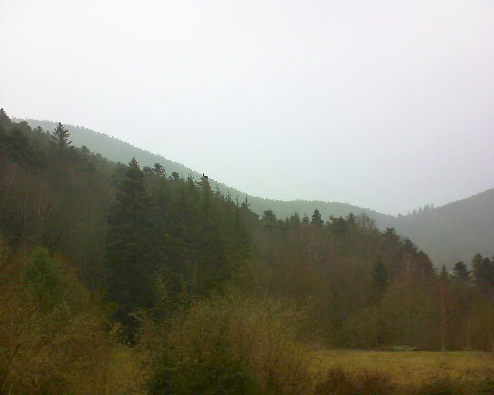 Le petit ballon vu depuis le Domaine Langmatt à Murbach le 15.03.2019 à 12:30 Le petit ballon (Alsace, Vosges) le 15.03.2019 à 12:30