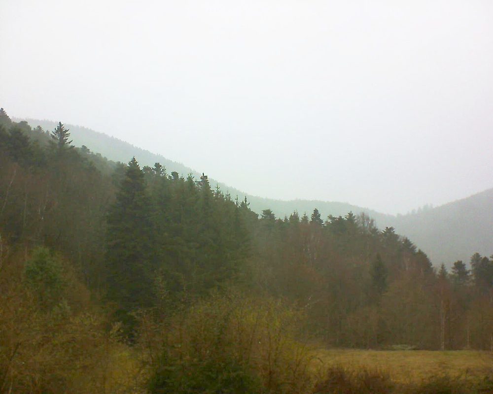 Le petit ballon vu depuis le Domaine Langmatt à Murbach le 15.03.2019 à 12:45 Le petit ballon (Alsace, Vosges) le 15.03.2019 à 12:45