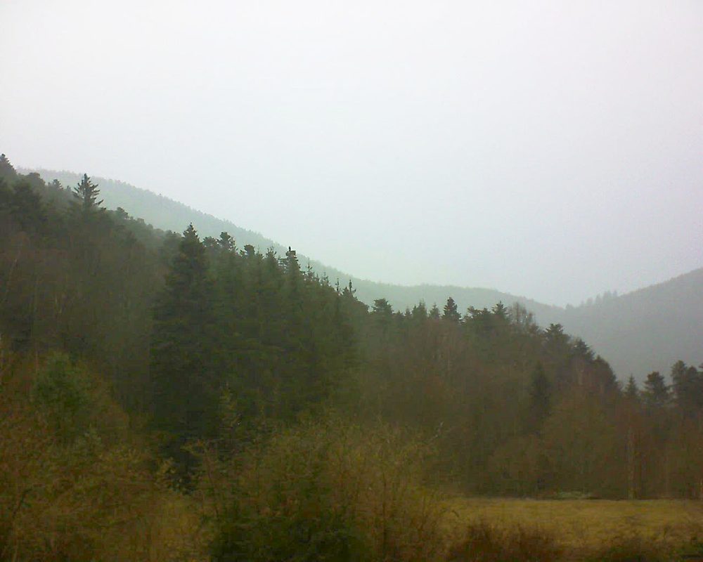 Le petit ballon vu depuis le Domaine Langmatt à Murbach le 15.03.2019 à 14:30 Le petit ballon (Alsace, Vosges) le 15.03.2019 à 14:30