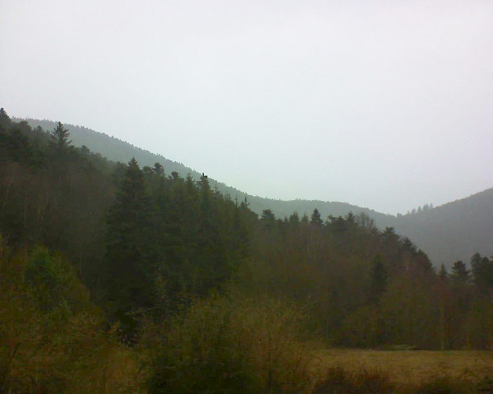 Le petit ballon vu depuis le Domaine Langmatt à Murbach le 15.03.2019 à 15:15 Le petit ballon (Alsace, Vosges) le 15.03.2019 à 15:15