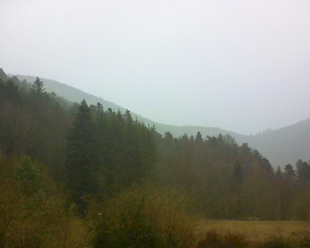 Le petit ballon vu depuis le Domaine Langmatt à Murbach le 15.03.2019 à 15:30 Le petit ballon (Alsace, Vosges) le 15.03.2019 à 15:30