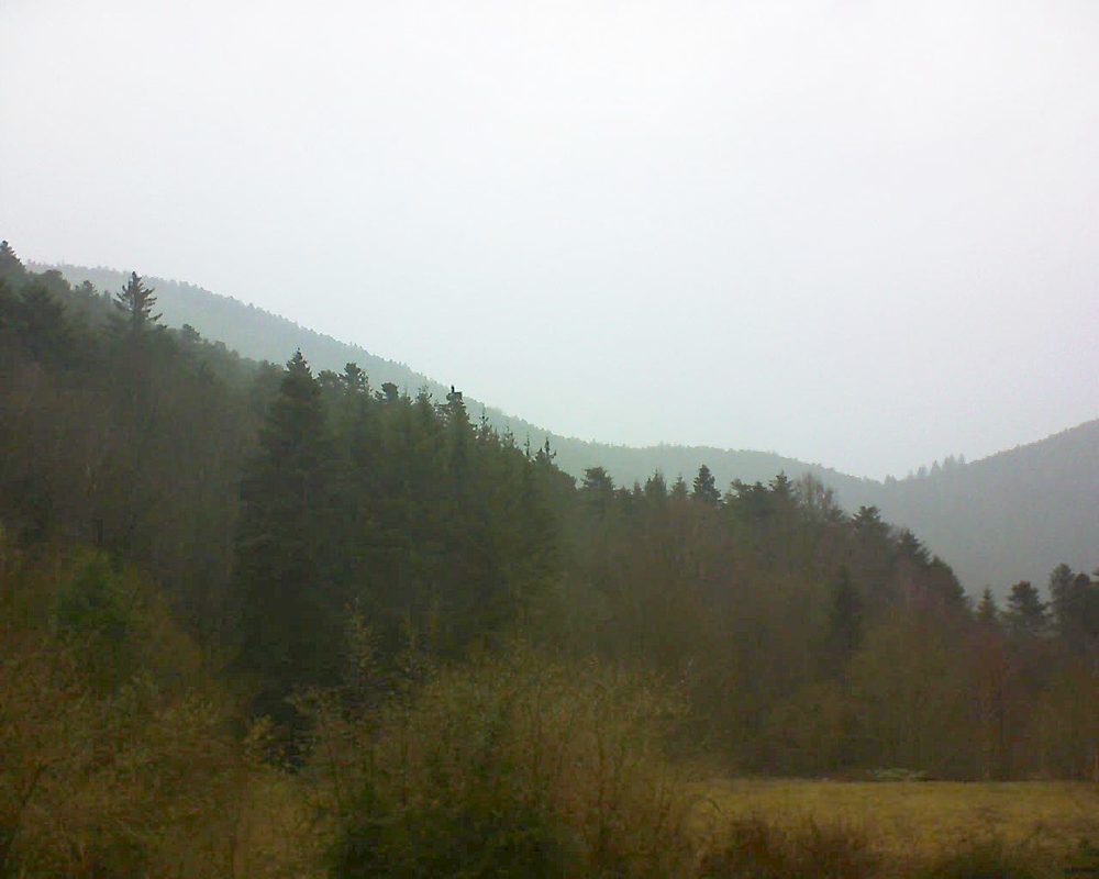 Le petit ballon vu depuis le Domaine Langmatt à Murbach le 15.03.2019 à 15:45 Le petit ballon (Alsace, Vosges) le 15.03.2019 à 15:45