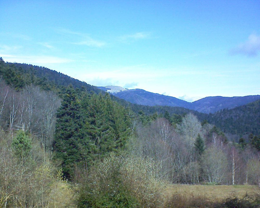 Le petit ballon vu depuis le Domaine Langmatt à Murbach le 16.03.2019 à 11:30 Le petit ballon (Alsace, Vosges) le 16.03.2019 à 11:30