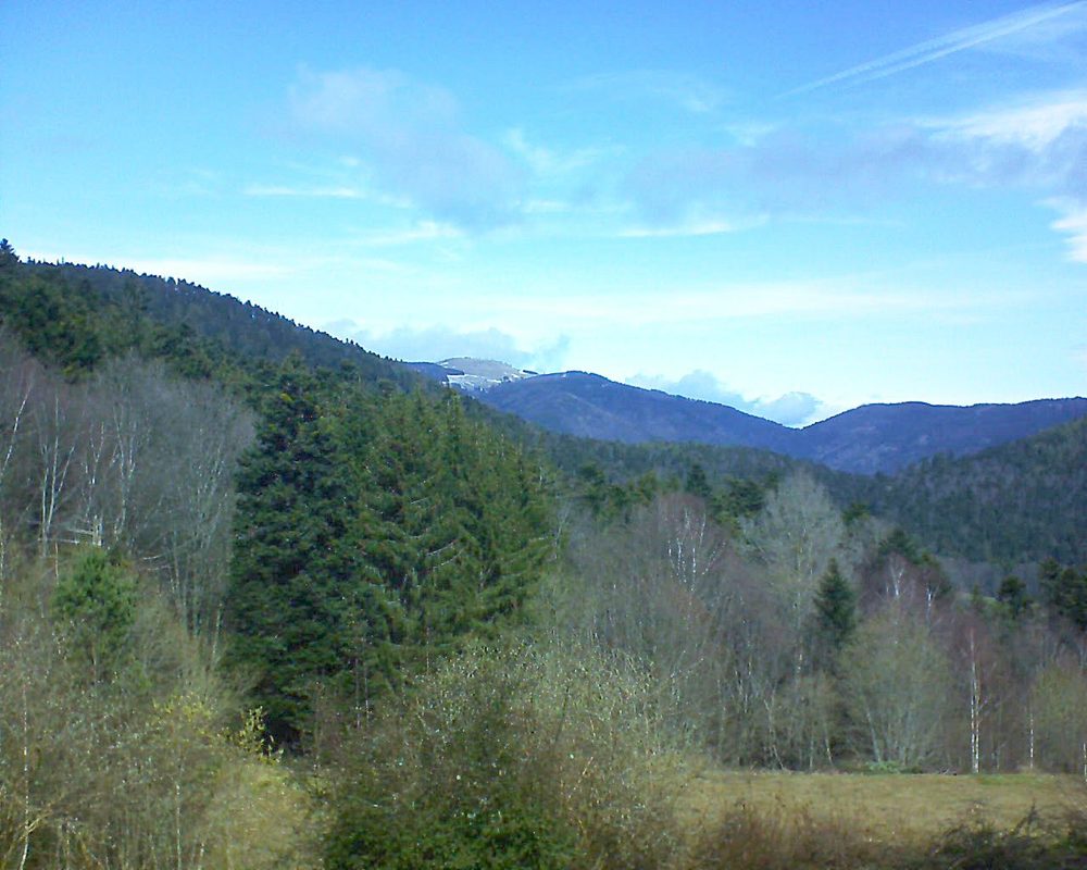 Le petit ballon vu depuis le Domaine Langmatt à Murbach le 16.03.2019 à 11:45 Le petit ballon (Alsace, Vosges) le 16.03.2019 à 11:45