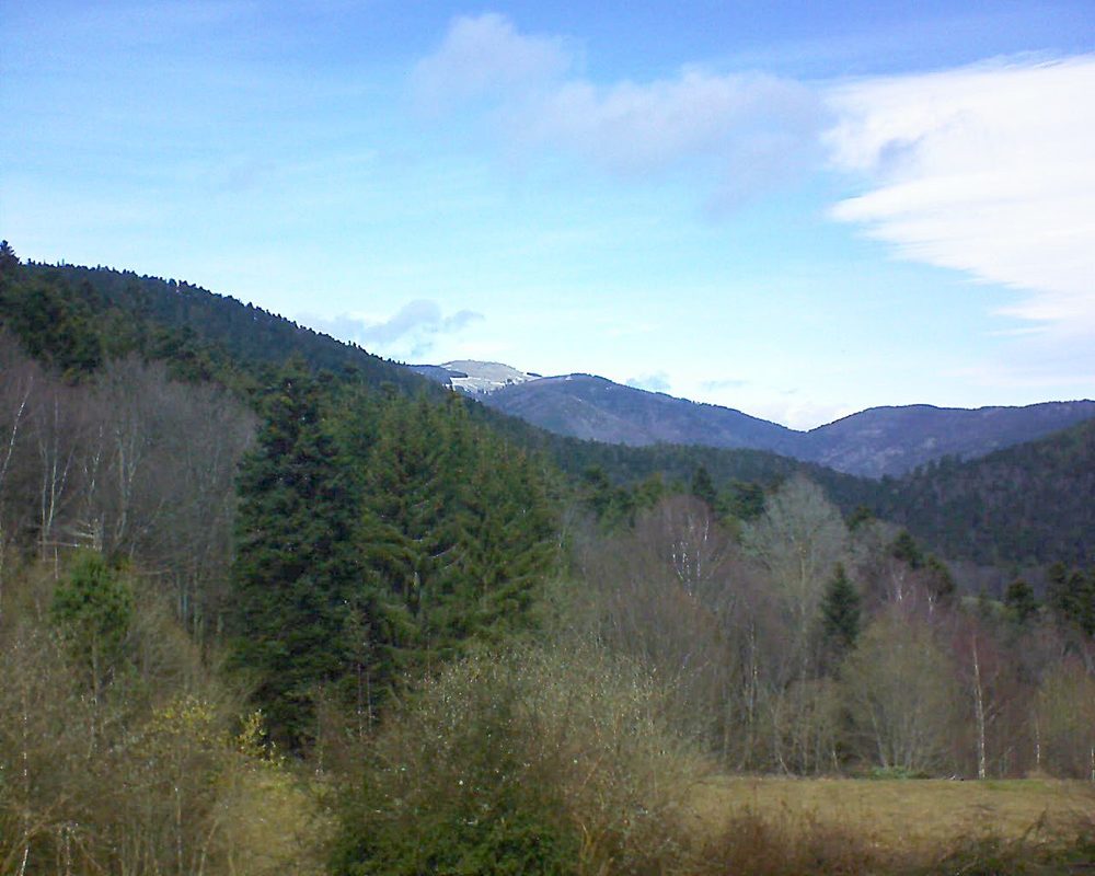 Le petit ballon vu depuis le Domaine Langmatt à Murbach le 16.03.2019 à 12:30 Le petit ballon (Alsace, Vosges) le 16.03.2019 à 12:30