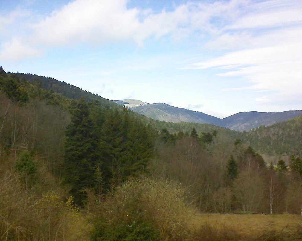 Le petit ballon vu depuis le Domaine Langmatt à Murbach le 16.03.2019 à 13:00 Le petit ballon (Alsace, Vosges) le 16.03.2019 à 13:00