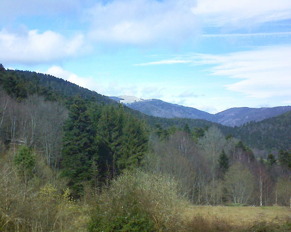 Le petit ballon vu depuis le Domaine Langmatt à Murbach le 16.03.2019 à 13:30 Le petit ballon (Alsace, Vosges) le 16.03.2019 à 13:30