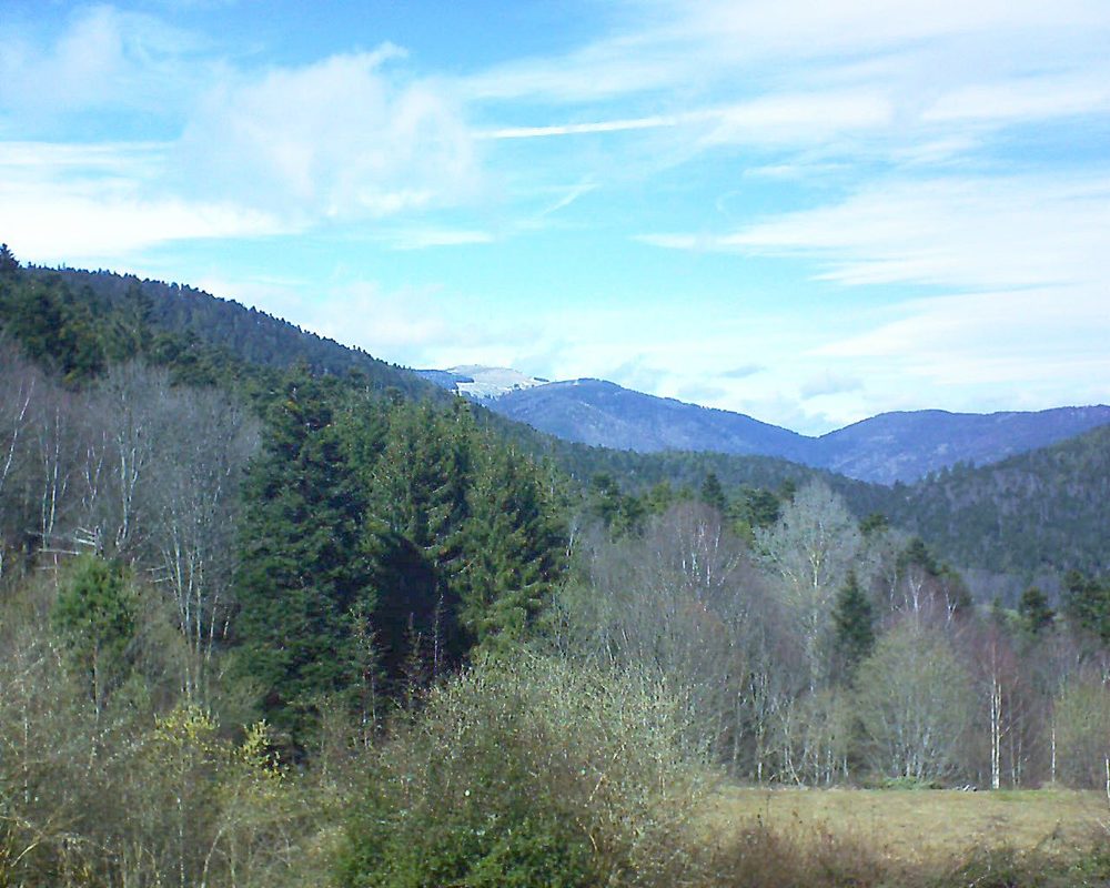 Le petit ballon vu depuis le Domaine Langmatt à Murbach le 16.03.2019 à 13:45 Le petit ballon (Alsace, Vosges) le 16.03.2019 à 13:45