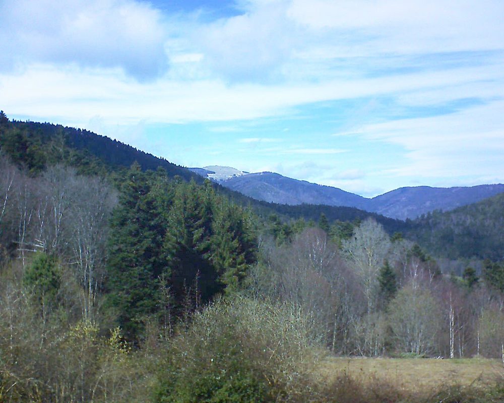 Le petit ballon vu depuis le Domaine Langmatt à Murbach le 16.03.2019 à 14:00 Le petit ballon (Alsace, Vosges) le 16.03.2019 à 14:00