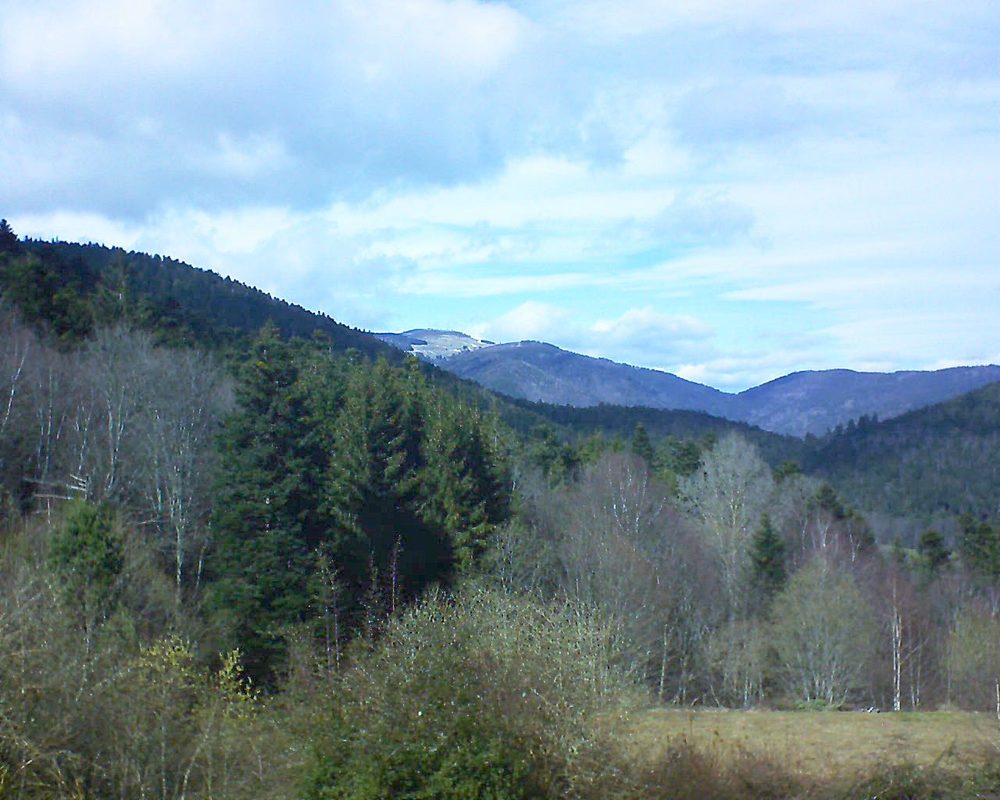 Le petit ballon vu depuis le Domaine Langmatt à Murbach le 16.03.2019 à 14:15 Le petit ballon (Alsace, Vosges) le 16.03.2019 à 14:15