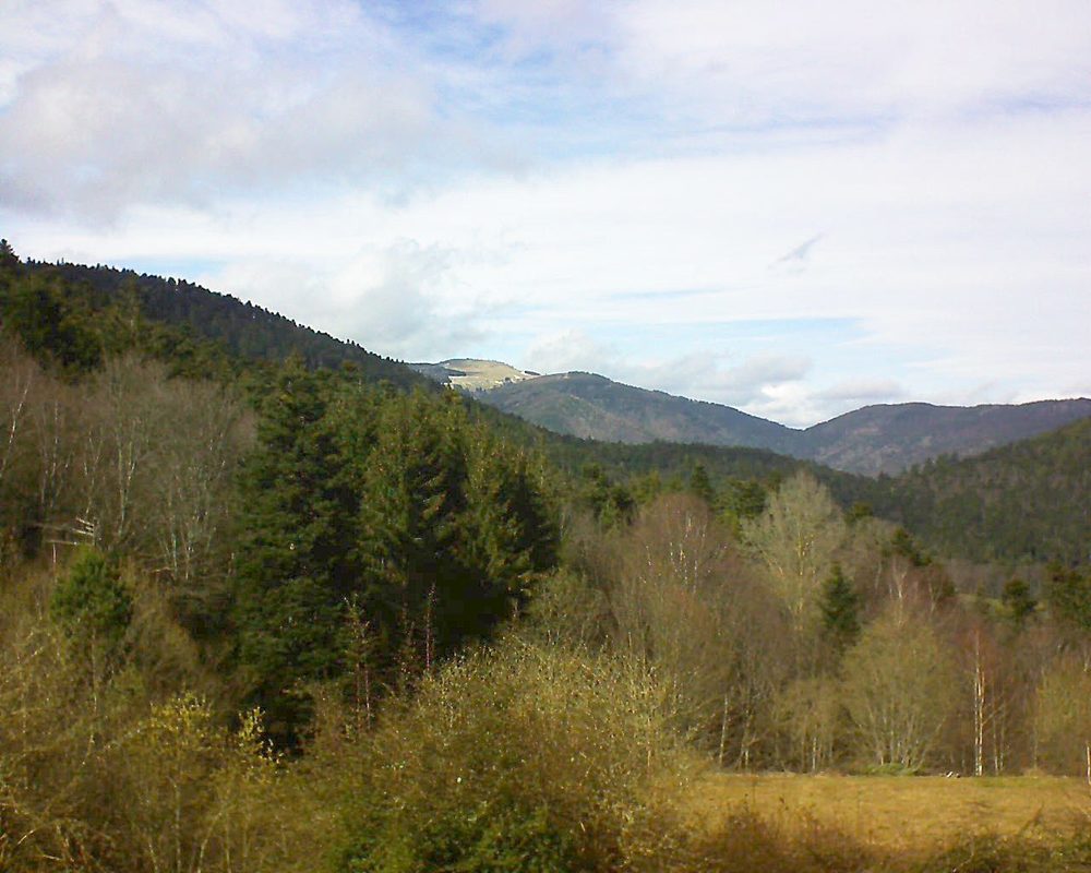Le petit ballon vu depuis le Domaine Langmatt à Murbach le 16.03.2019 à 14:30 Le petit ballon (Alsace, Vosges) le 16.03.2019 à 14:30