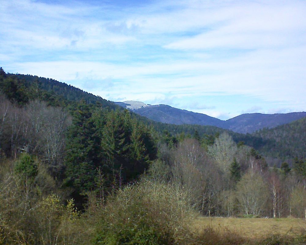 Le petit ballon vu depuis le Domaine Langmatt à Murbach le 16.03.2019 à 14:45 Le petit ballon (Alsace, Vosges) le 16.03.2019 à 14:45