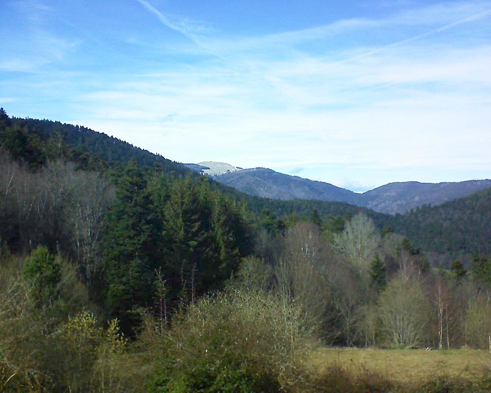 Le petit ballon vu depuis le Domaine Langmatt à Murbach le 16.03.2019 à 15:15 Le petit ballon (Alsace, Vosges) le 16.03.2019 à 15:15