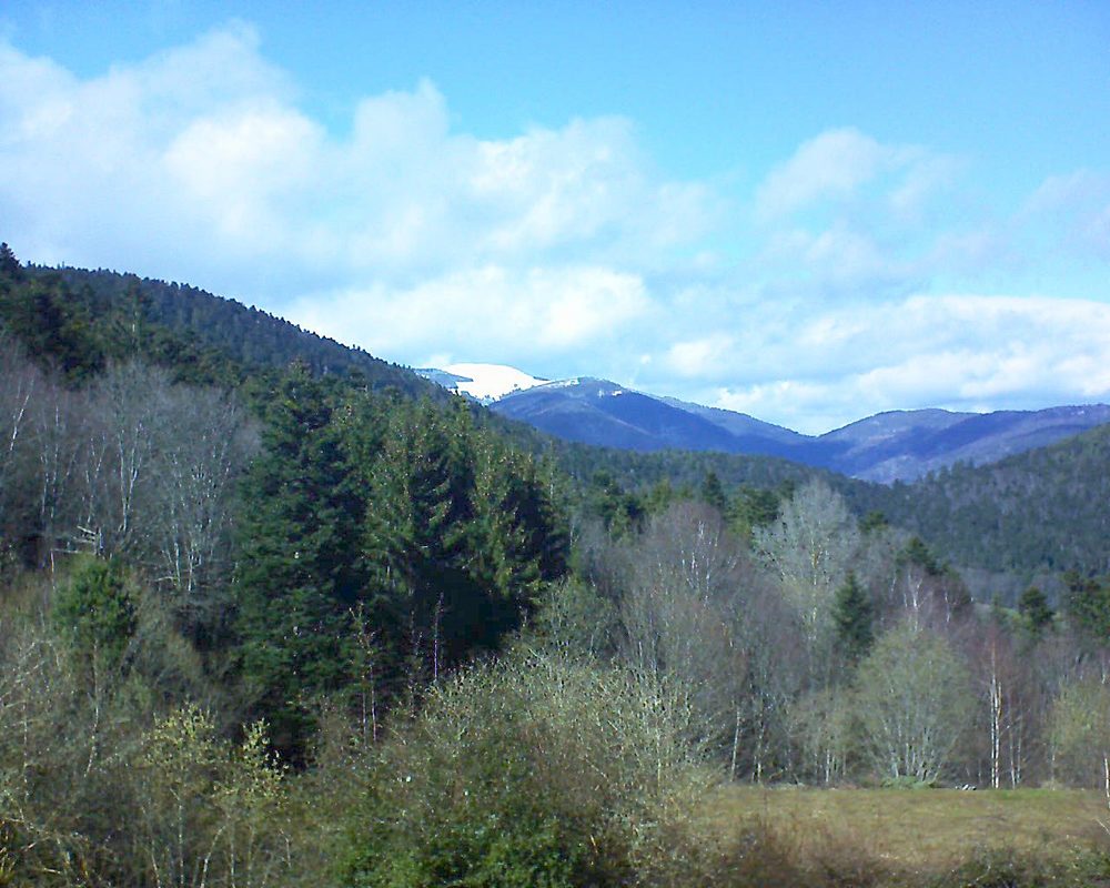 Le petit ballon vu depuis le Domaine Langmatt à Murbach le 18.03.2019 à 14:30 Le petit ballon (Alsace, Vosges) le 18.03.2019 à 14:30