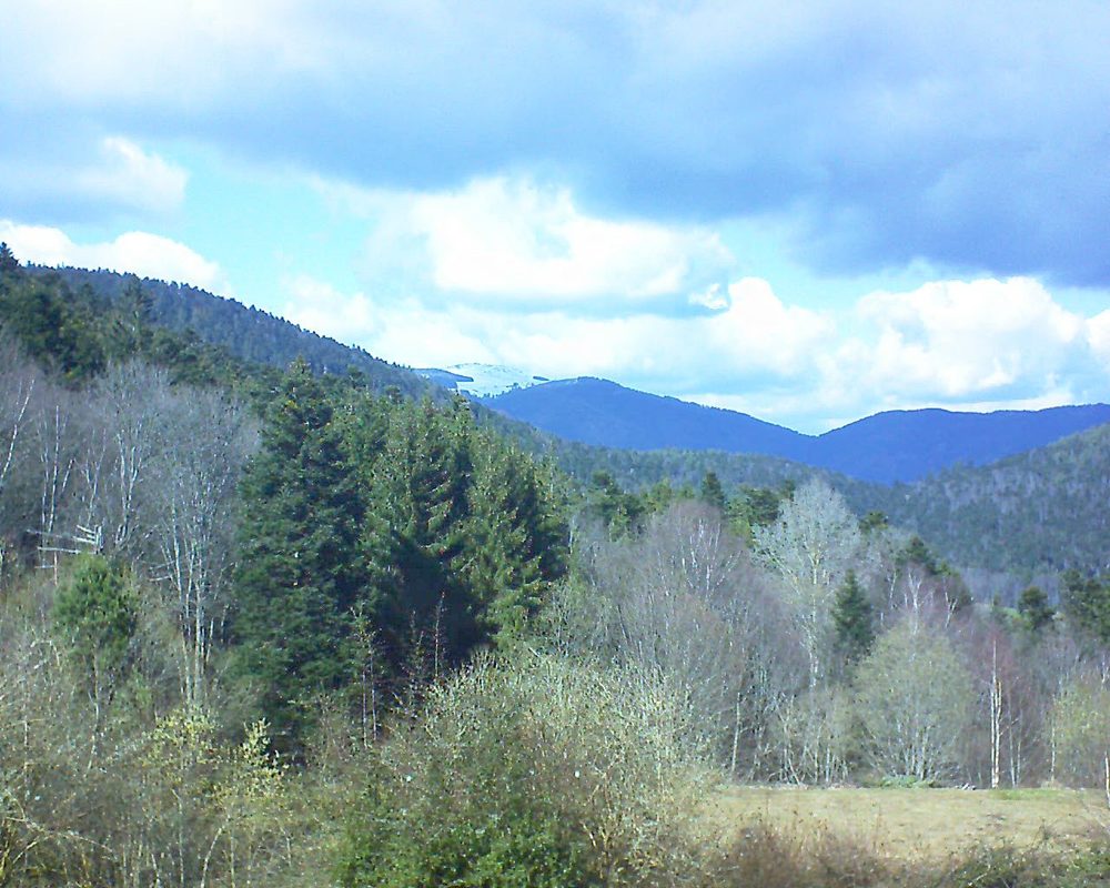 Le petit ballon vu depuis le Domaine Langmatt à Murbach le 19.03.2019 à 14:00 Le petit ballon (Alsace, Vosges) le 19.03.2019 à 14:00