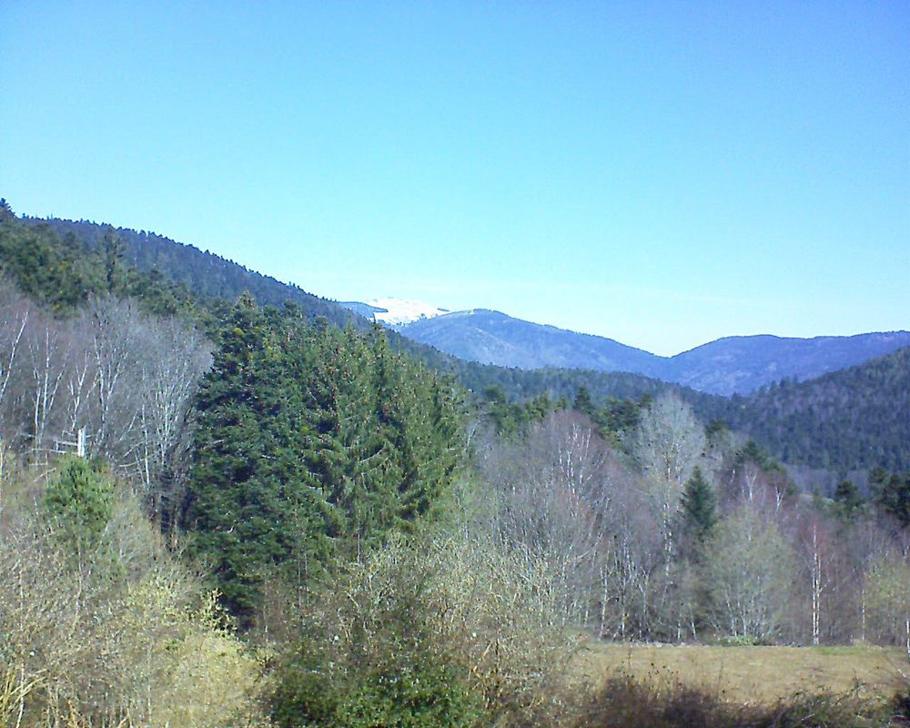 Le petit ballon vu depuis le Domaine Langmatt à Murbach le 20.03.2019 à 10:45 Le petit ballon (Alsace, Vosges) le 20.03.2019 à 10:45