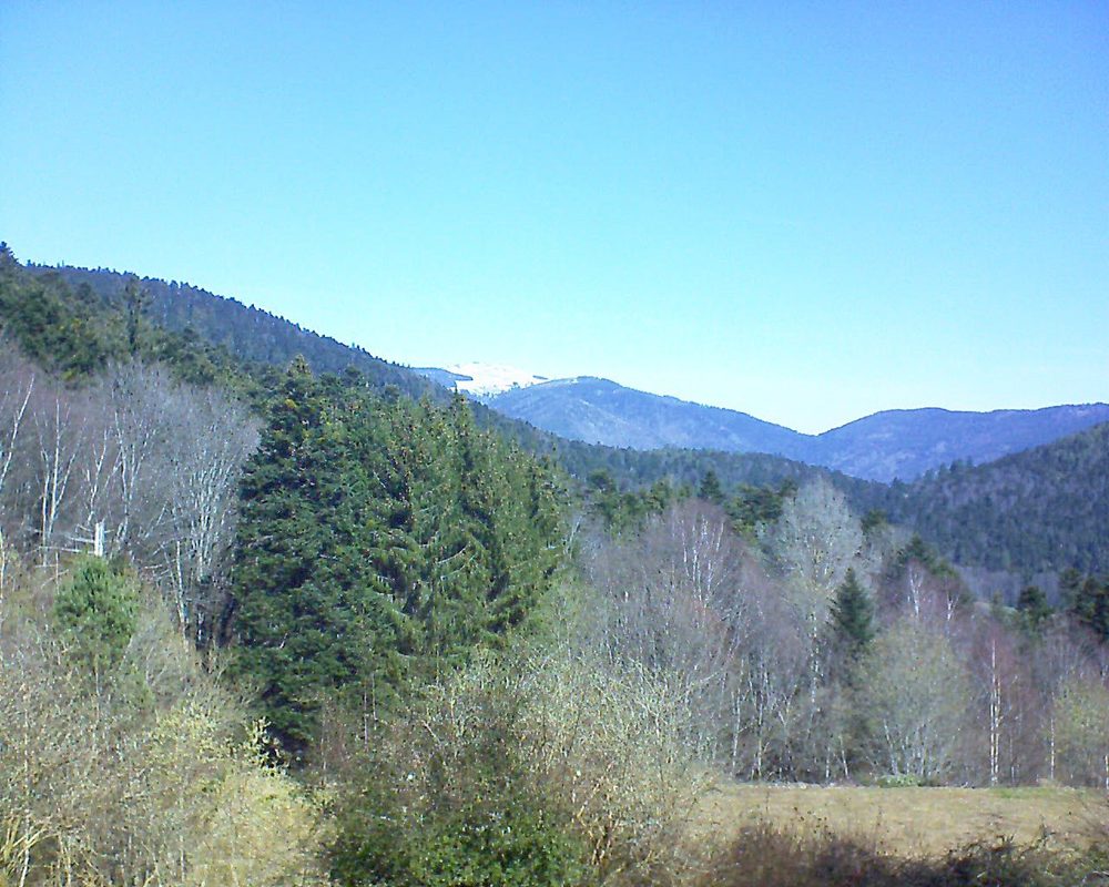 Le petit ballon vu depuis le Domaine Langmatt à Murbach le 20.03.2019 à 11:00 Le petit ballon (Alsace, Vosges) le 20.03.2019 à 11:00